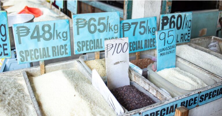 Rice Prices Expected to Drop by January, But Concerns Remain for Local Farmers