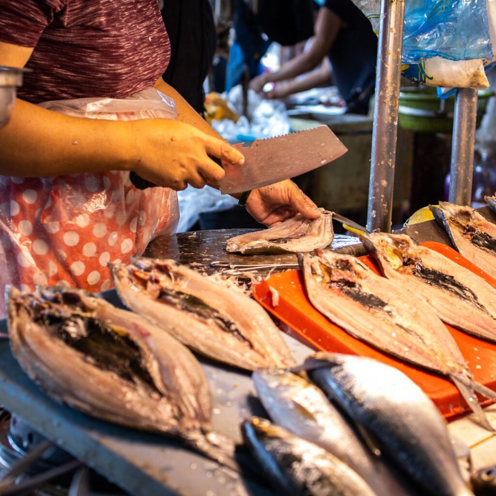 Bangus Fish
