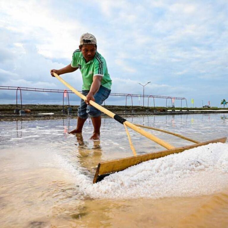 Pangasinan: Magbibigay ng Patabang Asin sa Region III at MIMAROPA